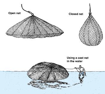 FISHING NET Meaning in English .